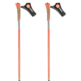 rossignol-force-10-poles