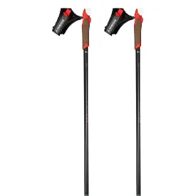 rossignol-force-3-poles