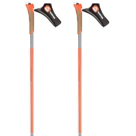 rossignol-force-7-poles