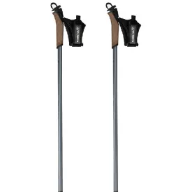 rossignol-force-poles