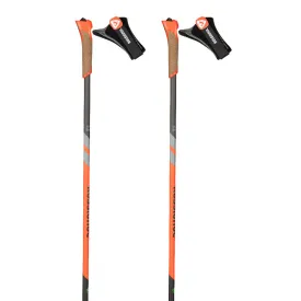 rossignol-batons-wcs-premium