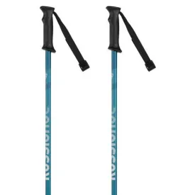 rossignol-bastons-tactic
