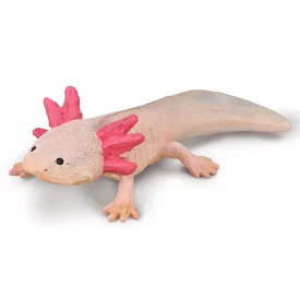 collecta-aksolotl