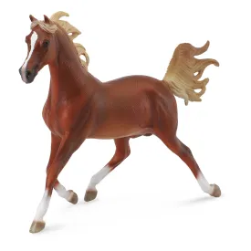 collecta-cor-de-semental-arab