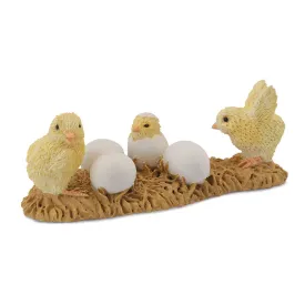 collecta-grup-de-pollets