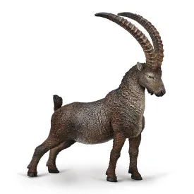 collecta-stenbuk