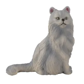 collecta-chat-persan-assis