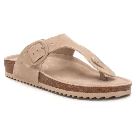 refresh-172832-sandaler
