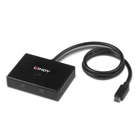 lindy-2-usb-3.2-gen-2-usb-c-hub