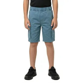 oneill-4700088-cargoshortsit
