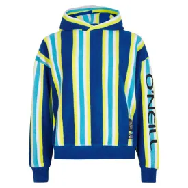 oneill-moletom-com-capuz-brights-terry