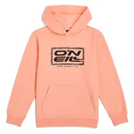 oneill-moletom-com-capuz-logo