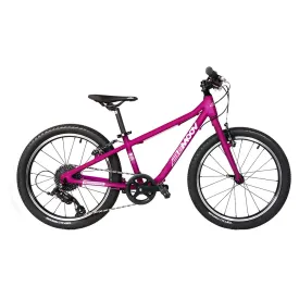 bemoov-m20-ts71-8s-2024-mtb-bike
