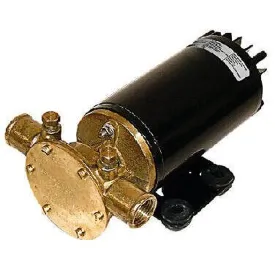 johnson-pump-f4b-19-npt-impellerpump