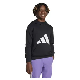 adidas-essentials-big-logo-连帽卫衣