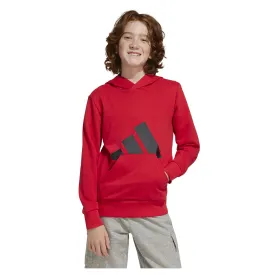 adidas-sudadera-con-capucha-essentials-big-logo