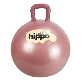 find-that-hippo-bouncing-ball