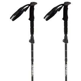 gabel-bastoncini-fr-3-ef