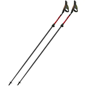 fizan-bastoncini-carbon-pro-impulse