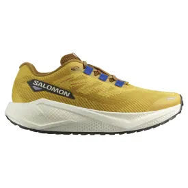 salomon-chaussures-de-running-aero-blaze-3-grvl