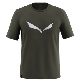 salewa-solidlogo-dri-release--半袖tシャツ