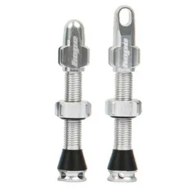 hope-tubeless-valves-2-units