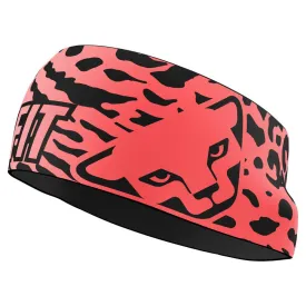 dynafit-graphic-performance-hoofdband