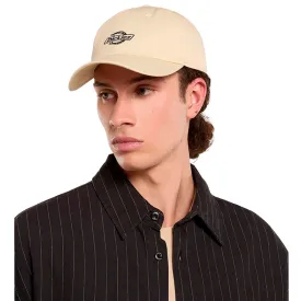 dickies-essential-dad-캡