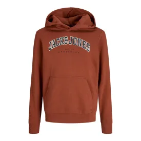 jack---jones-moletom-com-capuz-caleb-varsity