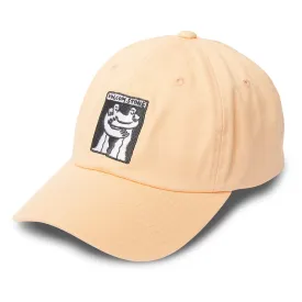 volcom-stone-bloom-캡