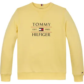 tommy-jeans-flag-sweatshirt