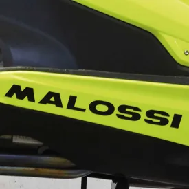 malossi-lion-sticker