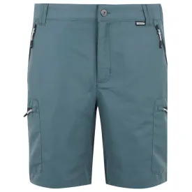 regatta-leesville-iii-shorts