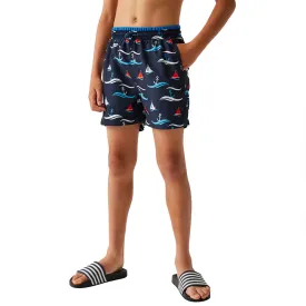 regatta-skander-iii-simshorts