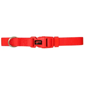 nayeco-ошейник-для-собак-basic