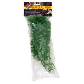 zoomed-plastic-medium-cannabis-plant