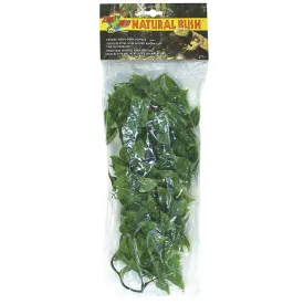zoomed-plastic-medium-mexican-phyllo-plant