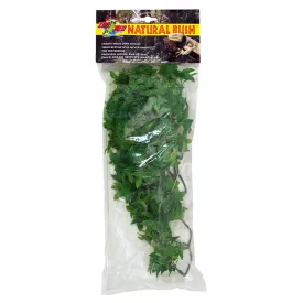 zoomed-planta-de-gingko-congo-mitjana-plastic