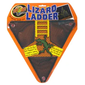 zoomed-echelle-de-lezard