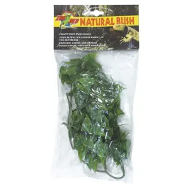 zoomed-plastic-small-mexican-phyllo-plant