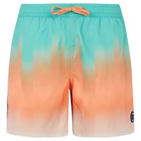 protest-bowery-simshorts