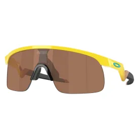 oakley-resistor-solbriller