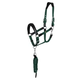 equestro-licol-ergonomique-avec-inserts-cuir