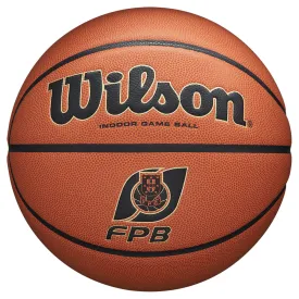 wilson-evolution-fpb-篮球