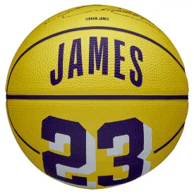 wilson-nba-player-icon-lebron-mini-篮球
