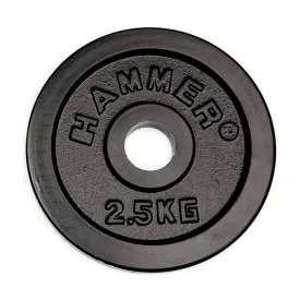 finnlo-iron-2.5kg-v-gtskive
