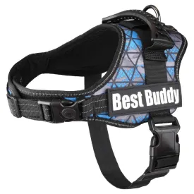 flamingo-best-buddy-pluto-grid-hundsele