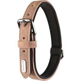 flamingo-delu-dog-collar