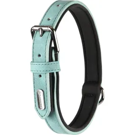 flamingo-delu-dog-collar
