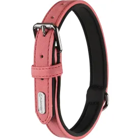 flamingo-collier-de-chien-delu
